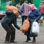 Цены на лук в Украине