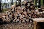 Заготівля дров в Україні
