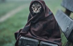 Погода в Україні