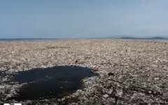пластик в океане