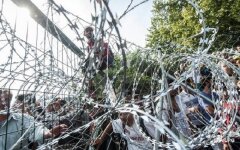 колючая проволока