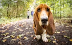 Прогноз погоды в Украине / Фото: Getty Images