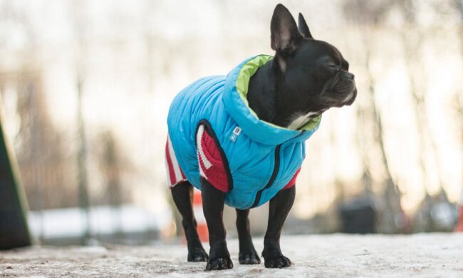 Прогноз погоди в Україні