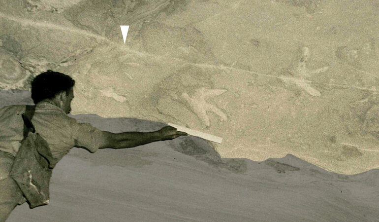 Ученые раскрыли тайну следов динозавра на потолке пещеры