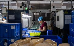 Китай завалив світ дешевим експортом