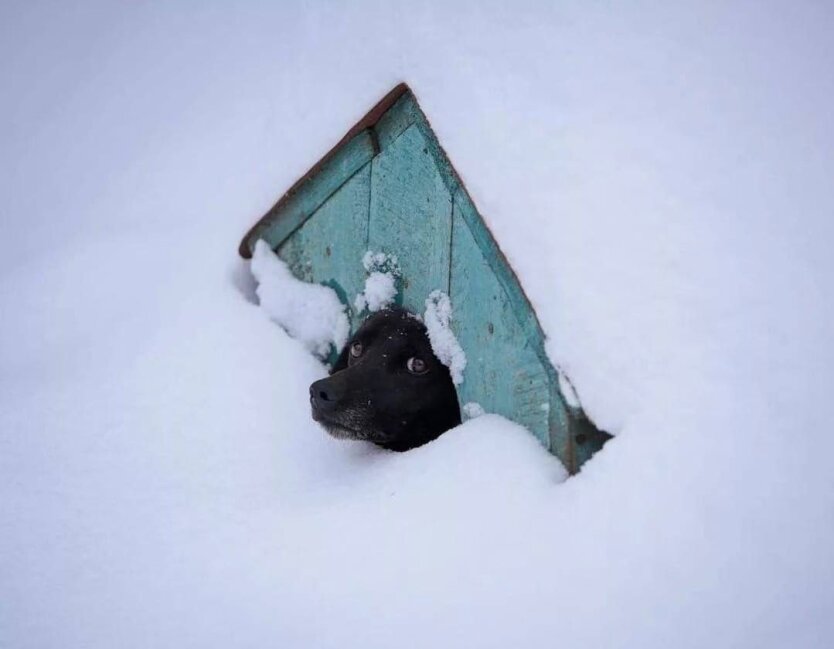 Прогноз погоди в Україні