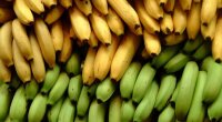 Супермаркети знизили ціни на апельсини, банани та лимони