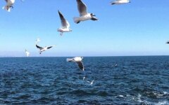 Прогноз погоды в Украине