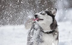 Прогноз погоды в Украине / Фото Shutterstock