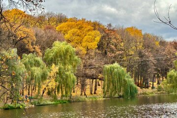 Осень в Украине