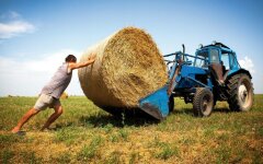 Фермеры в Украине