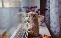 Прогноз погоди в Україні