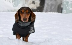 Прогноз погоды в Украине / Фото youdidwhatwithyourweiner.com