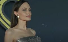 Анджеліна Джолі, бред піт, суд