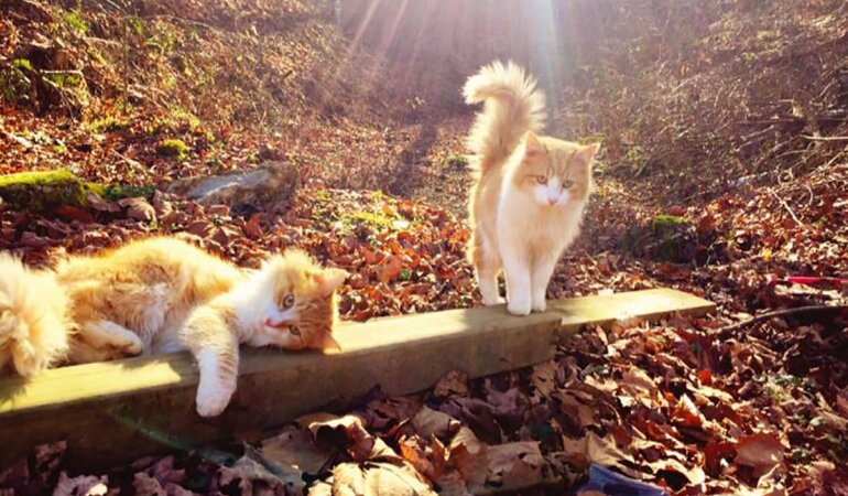 Прогноз погоды в Украине / Фото: pinterest.es