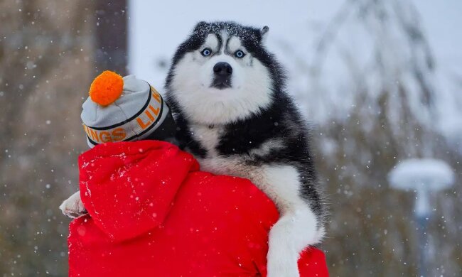 Погода в Україні