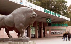 киевский зоопарк