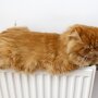 Отключение тепла / Фото: 24tv.ua