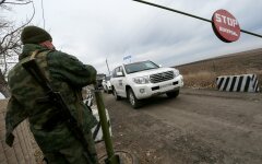 разведение в Петровском_1