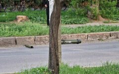 Стрельба в Тирасполе, ПМР