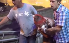 Протесты в Беларуси