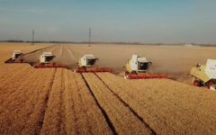 Уборка урожая, экспорт зерна из Украины