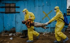 foto-virus-Ebola-14