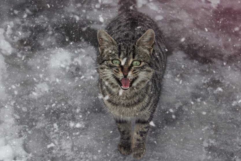 Прогноз погоды в Украине / Фото: pexels