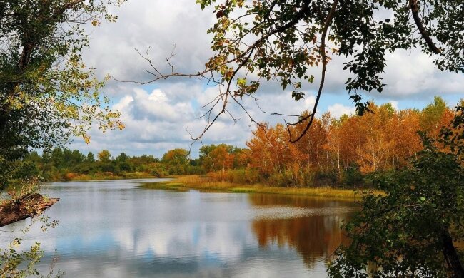 Прогноз погоди в Україні / Фото: Pixabay