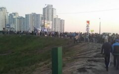 осокорки уманец