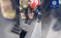 мужчина канализация