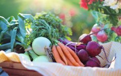 Продукты питания