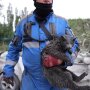 Удар по Киеву