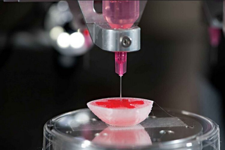 биоинженер  3D-принтер