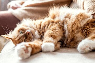 Прогноз погоды в Украине / Фото: Freepik