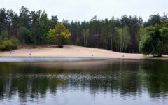 пляж в пуще водице