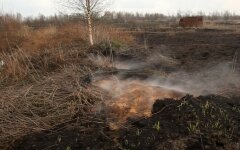 Украинцев ждут новые штрафы в $800