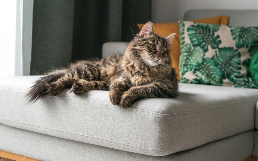 Прогноз погоды в Украине / Фото: Unsplash