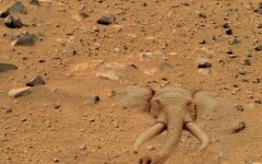 Elephant_on_Mars
