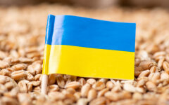 Экспорт из Украины / Фото: shutterstock.com