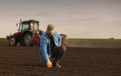 Сільськогосподарська земля