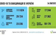 Статистика по коронавирусу на утро 15 февраля
