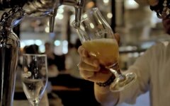 pivo