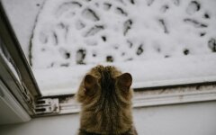 Прогноз погоди в Україні / Фото: pexels