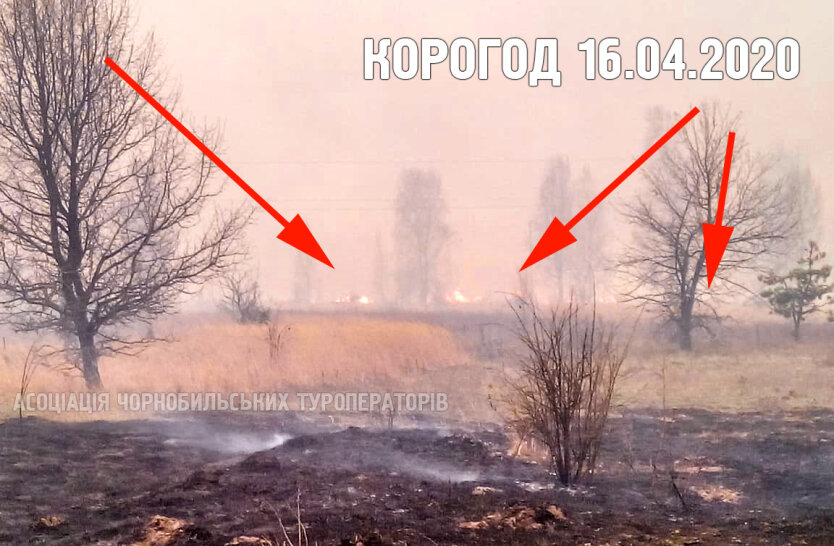В Чернобыльской зоне опять вспыхнул пожар: видео