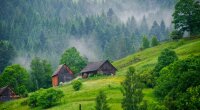 Климат в Украине