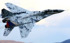 Истребители МиГ-29 / Фото: oryxspioenkop.com