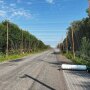Антидроновий тунель