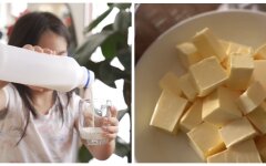 Цены на молоко и сливочное масло, цены на продукты