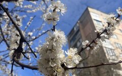 Прогноз погоди в Україні